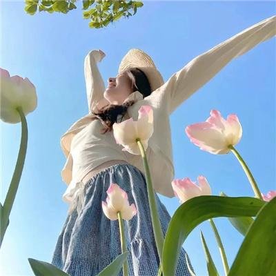 邪恶力量第五季