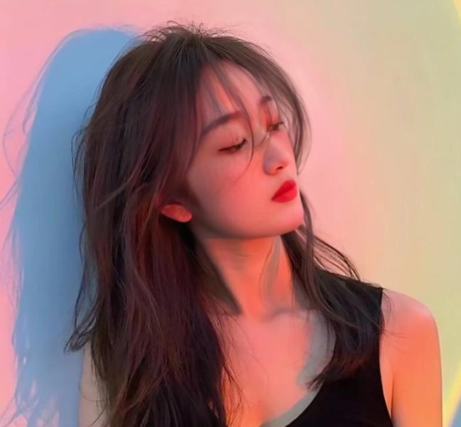 森林中的日与夜